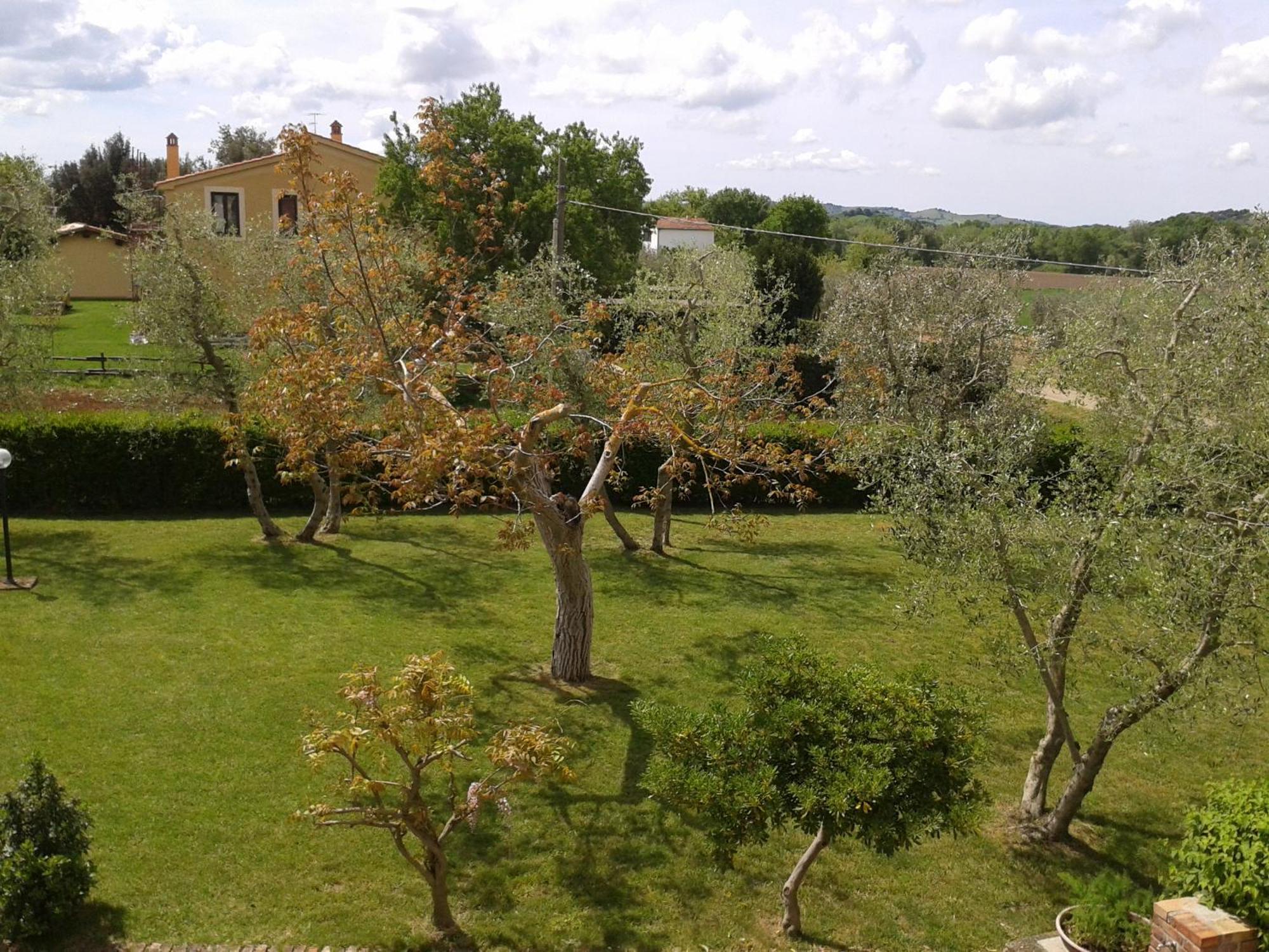Il Punto Verde SantʼAntonio Exterior foto